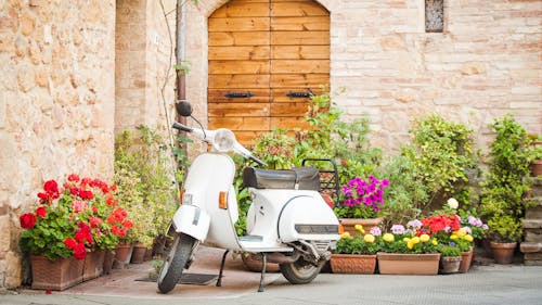 Vacanze romane