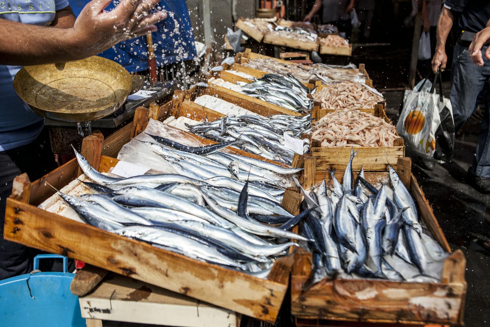 Catania fish market Catania fish market