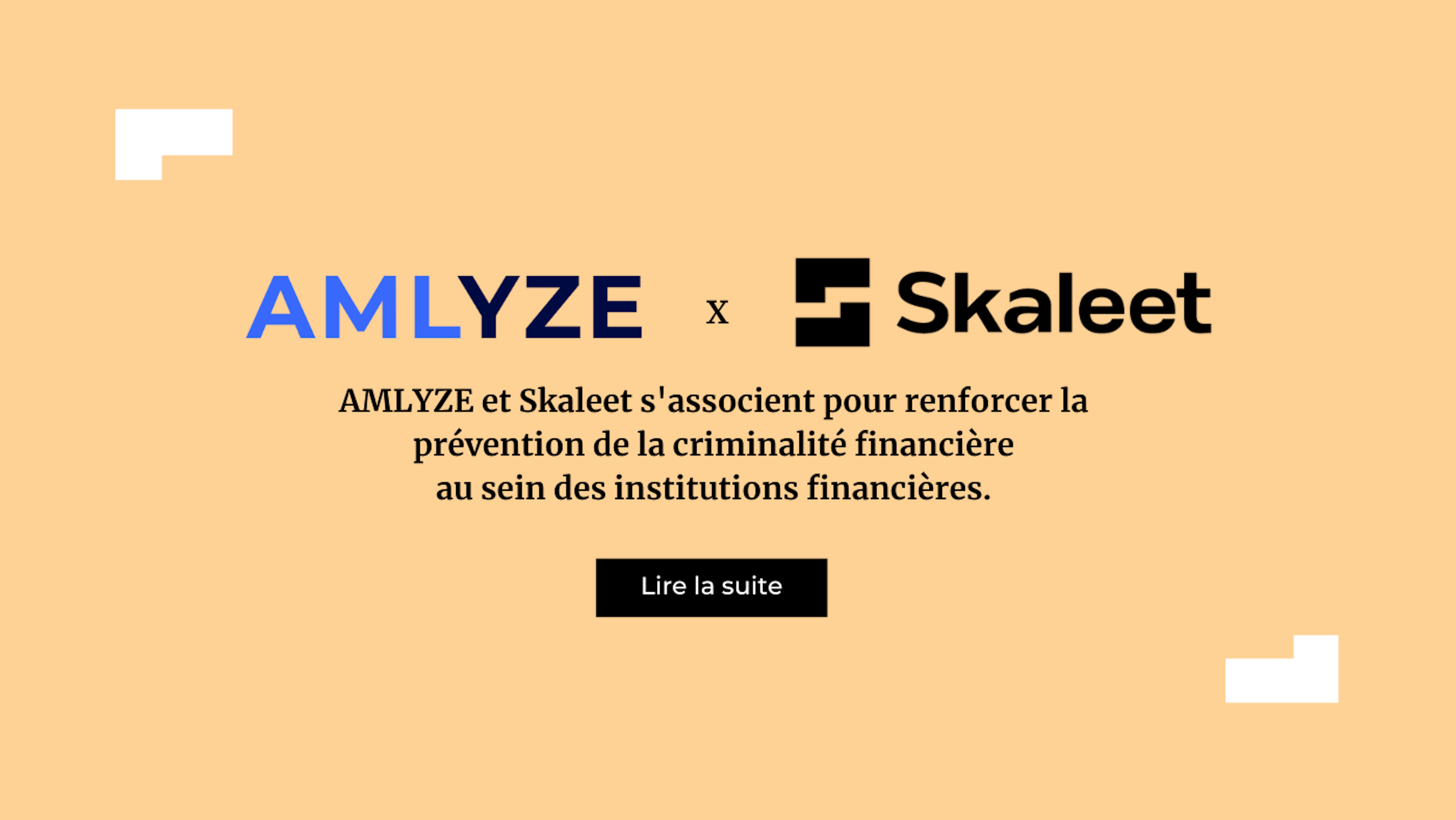AMLYZE x Skaleet FR