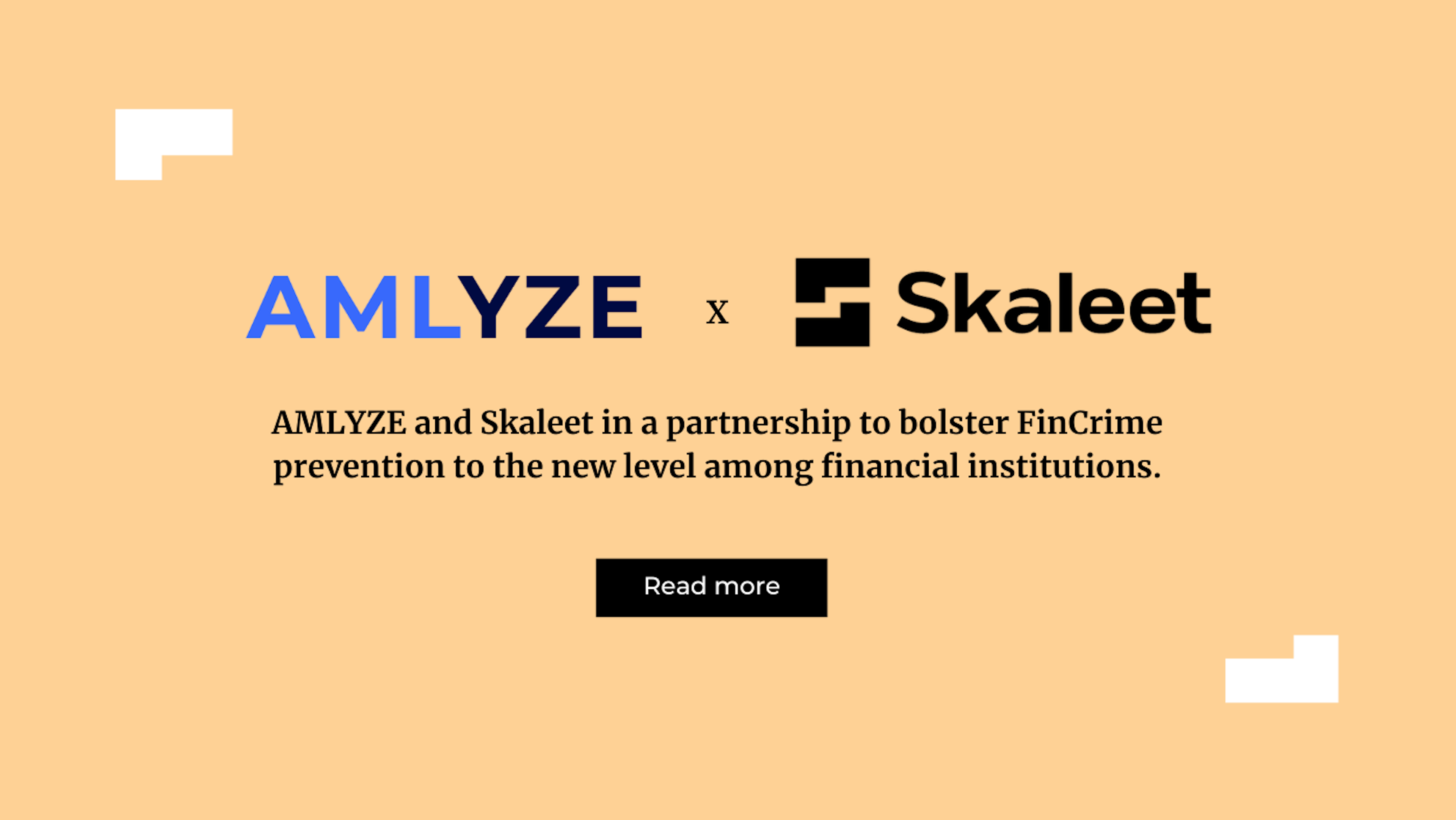 AMLYZE x Skaleet EN