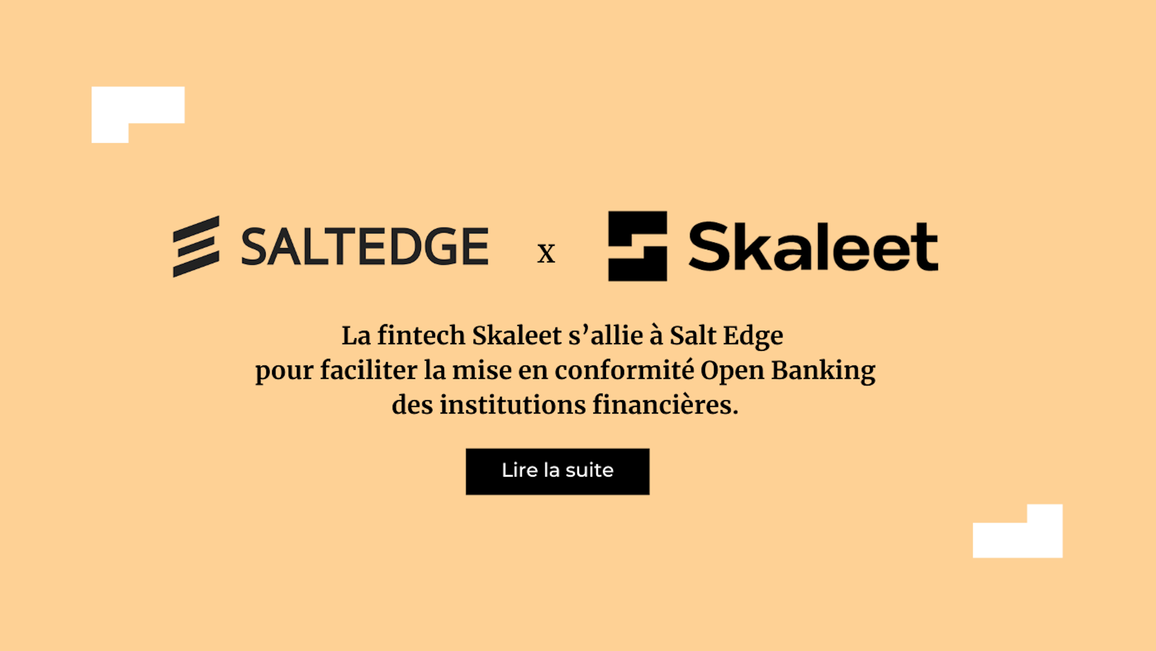 Salt Edge x Skaleet - FR