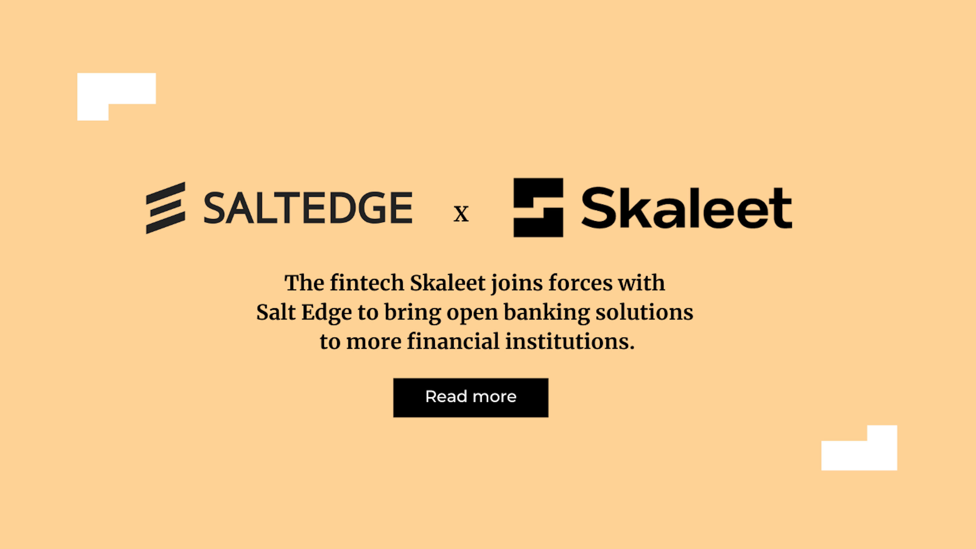 Salt Edge x Skaleet - EN