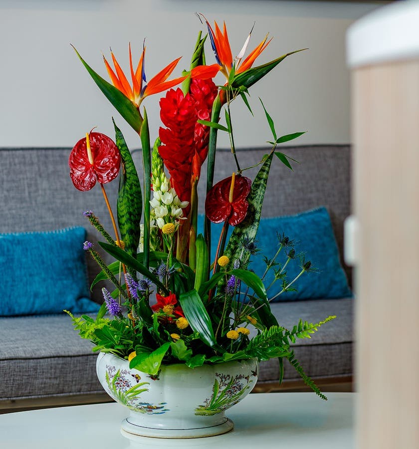 plant on a coffee table
