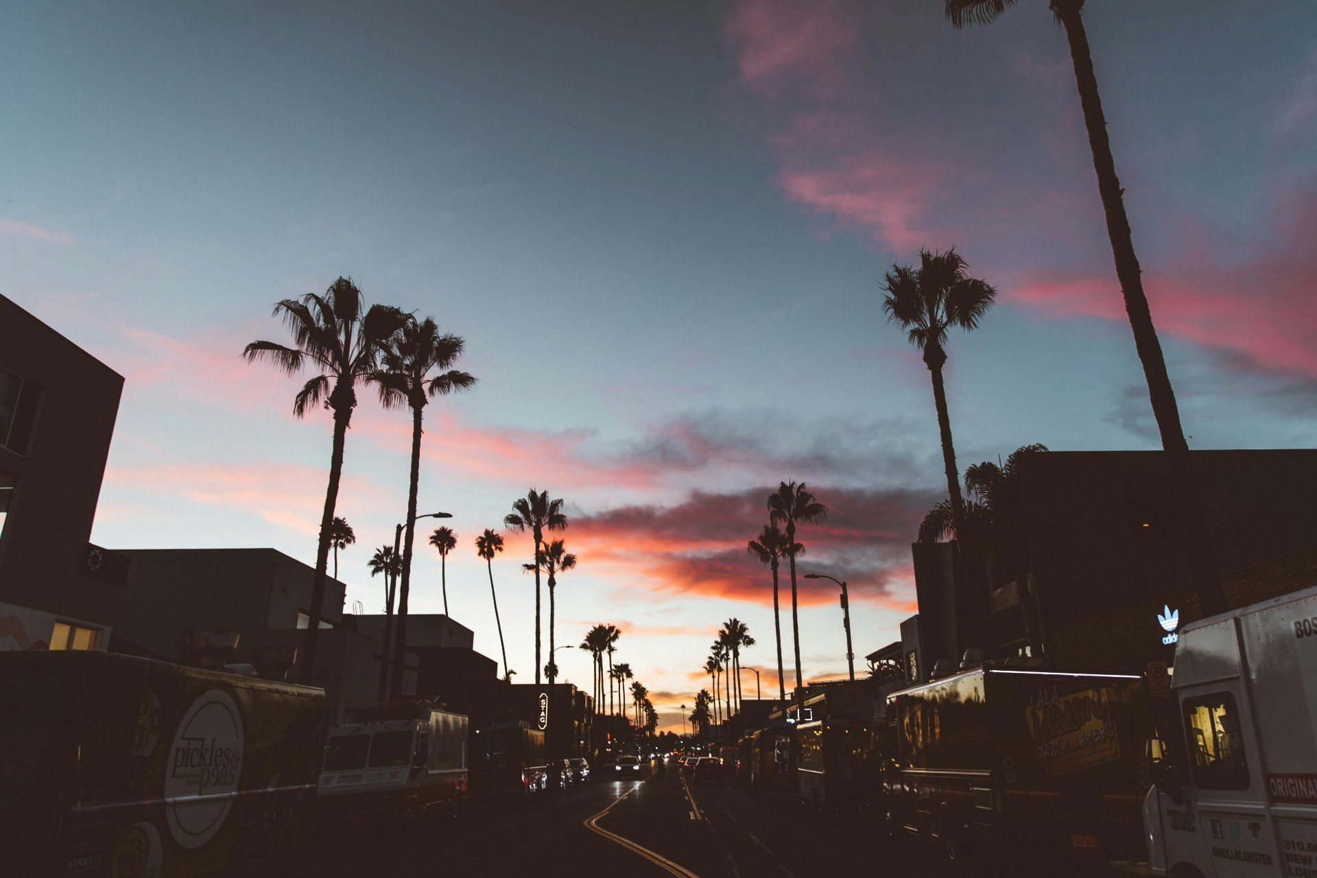 This image may contain: palm tree, arecaceae, tree, plant, nature, outdoors, sky, sunset, dusk, road