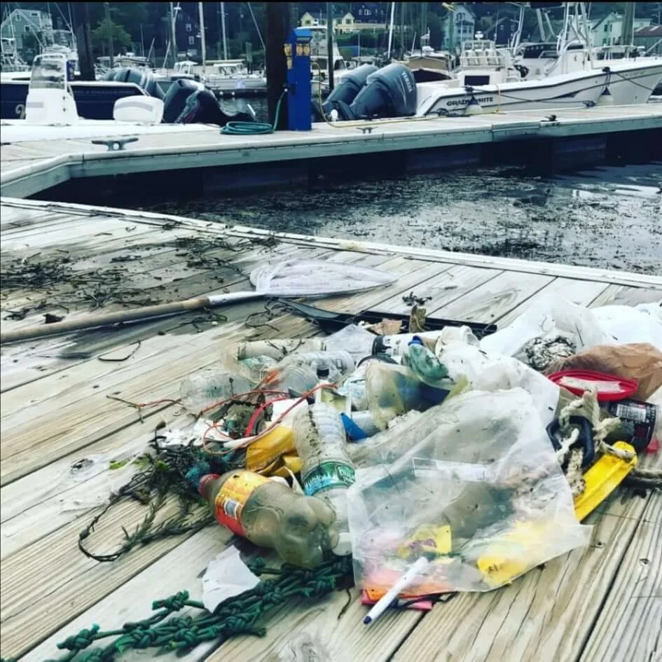 Garbage taken fom the sea with SeaBin