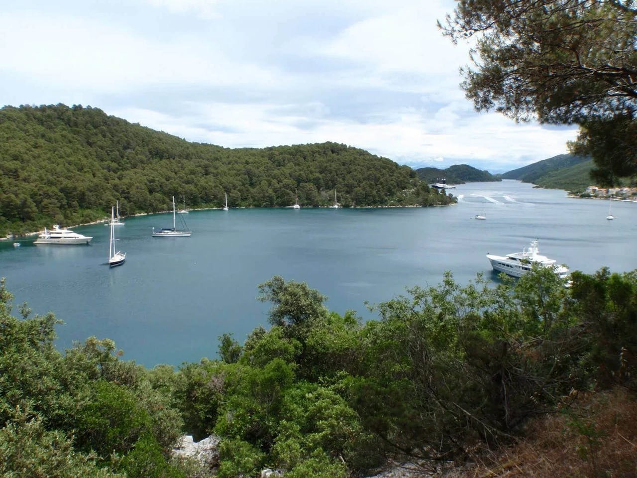 Mljet polace