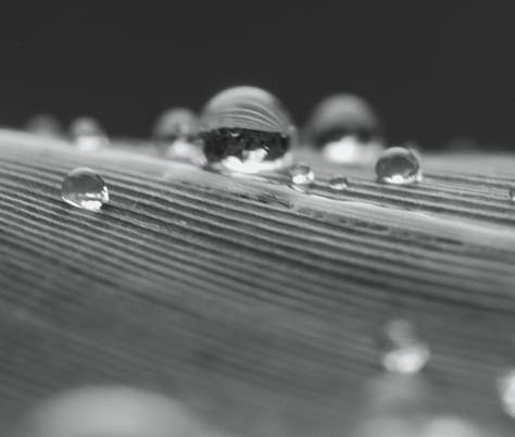 water droplets