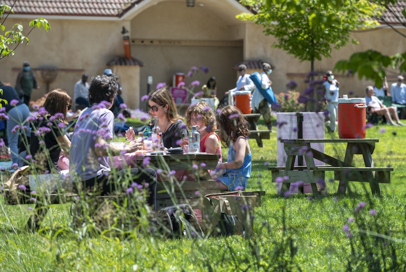 picnicking at caramoor