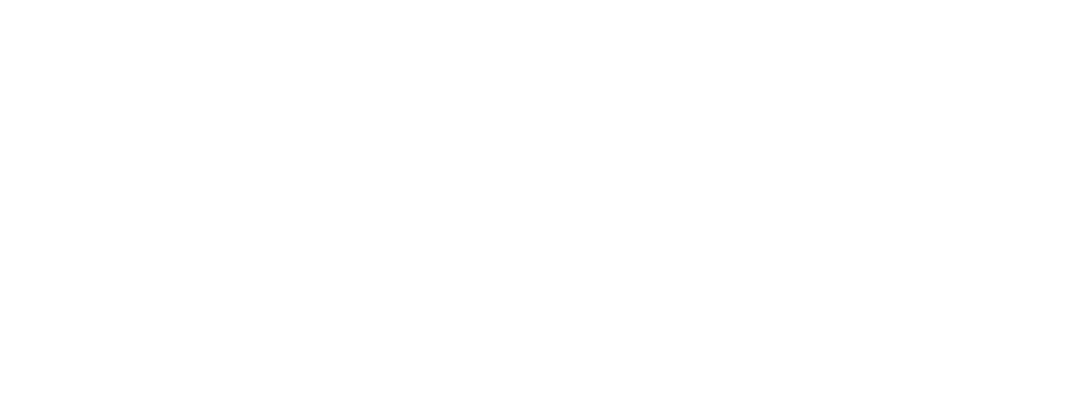 BPP Institute logo