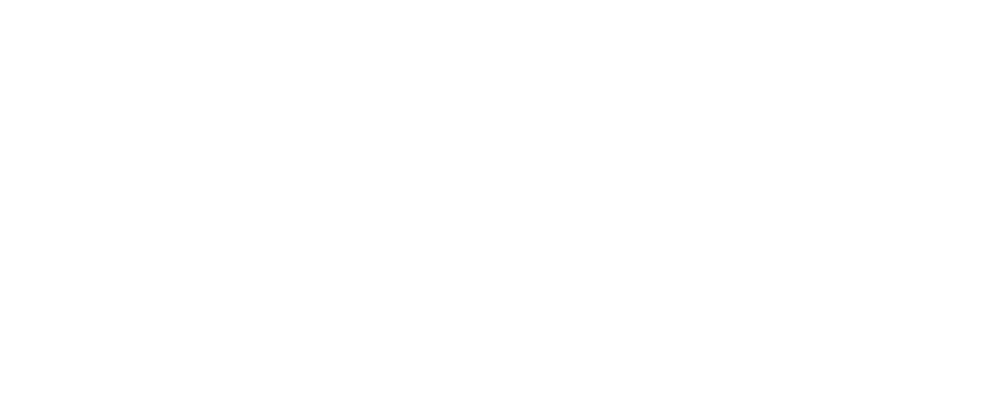 BPP logo