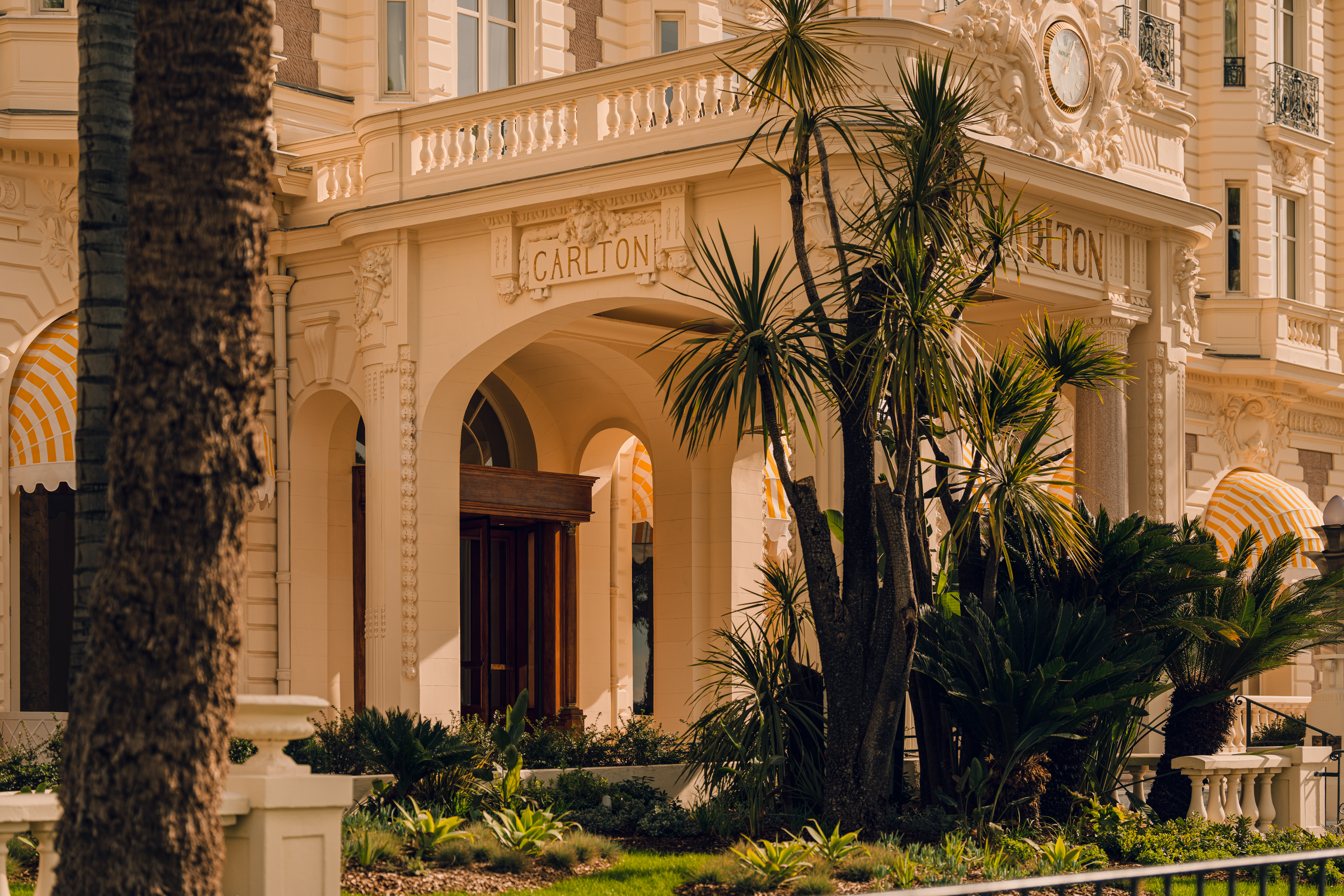 Carlton 