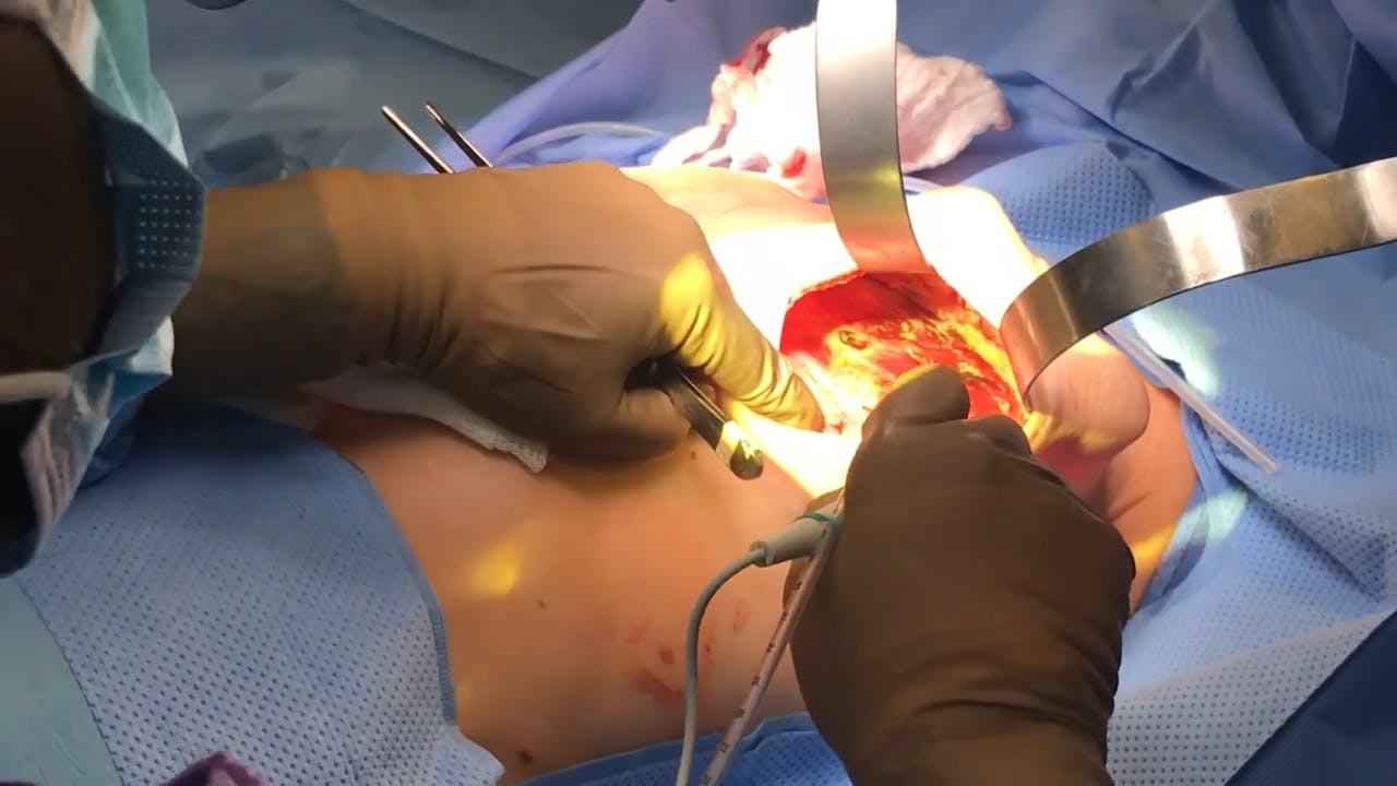 Coastal Plastic Surgeons