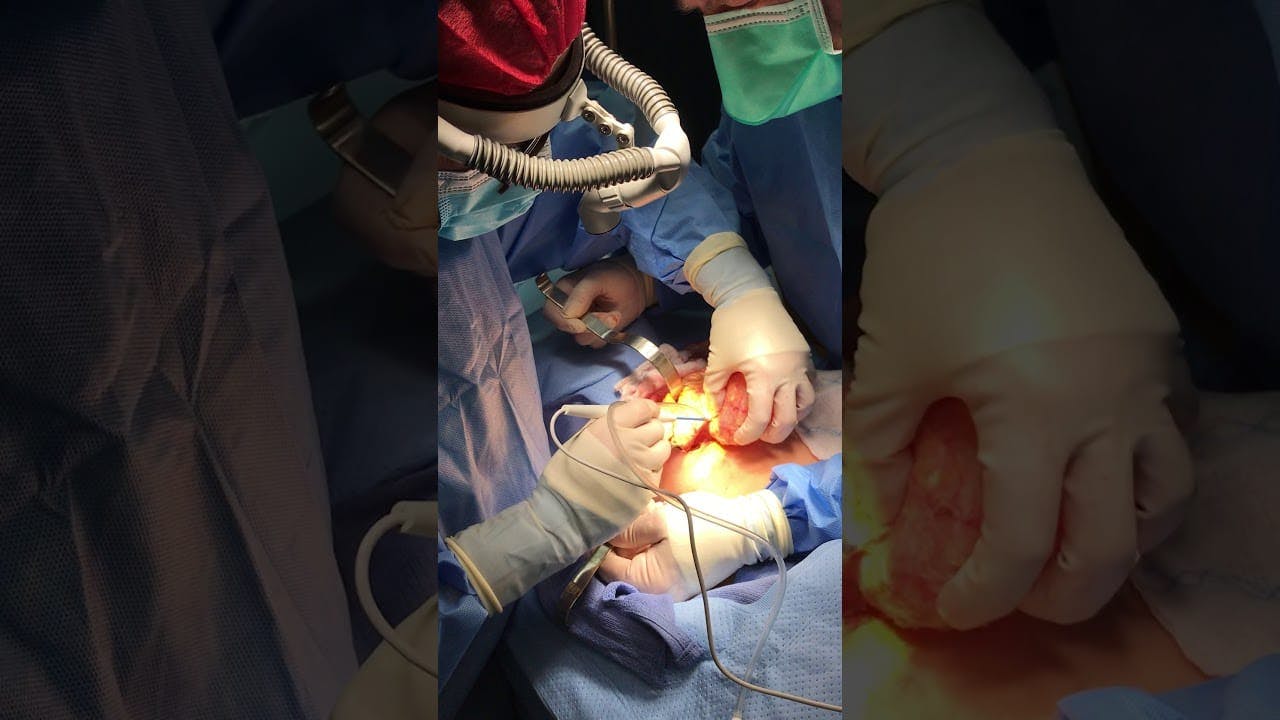 Coastal Plastic Surgeons