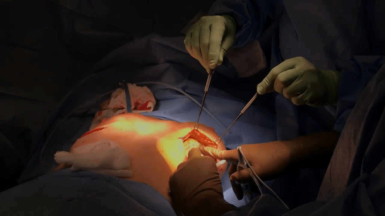 Coastal Plastic Surgeons