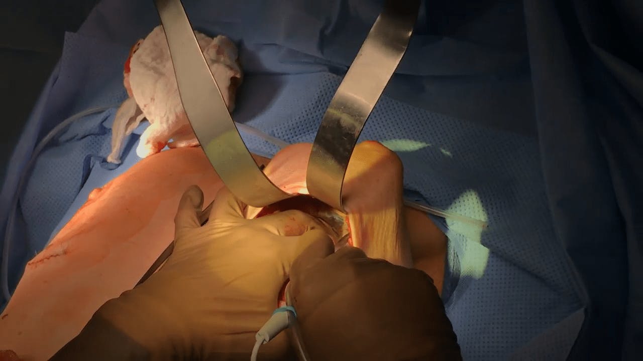 Coastal Plastic Surgeons