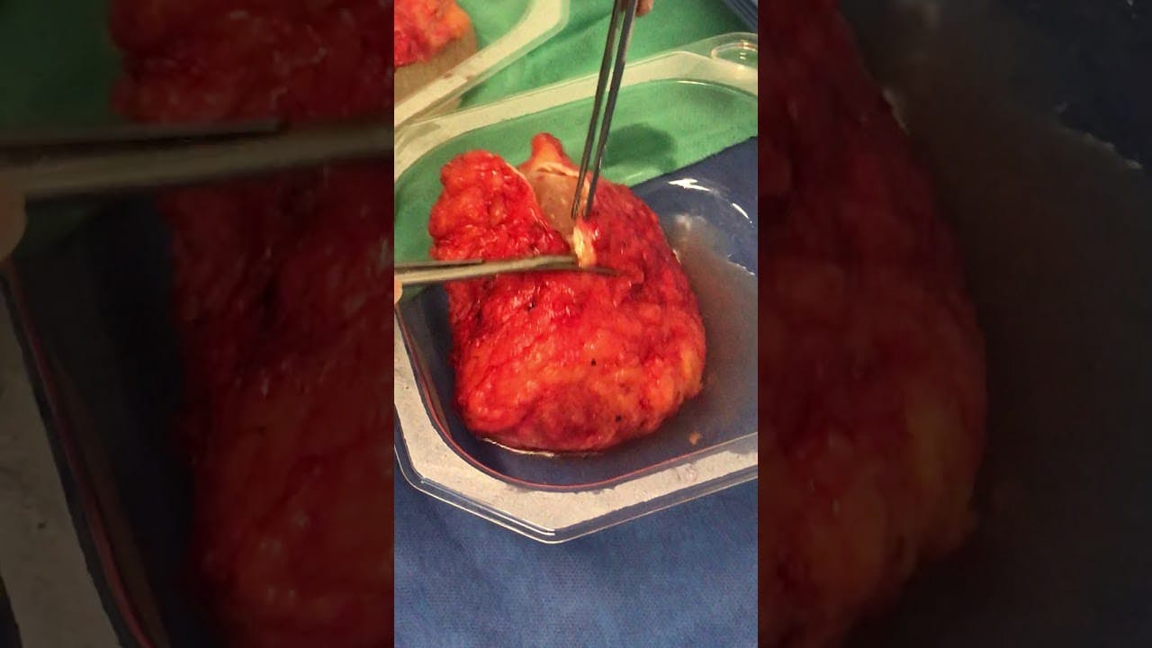 Coastal Plastic Surgeons