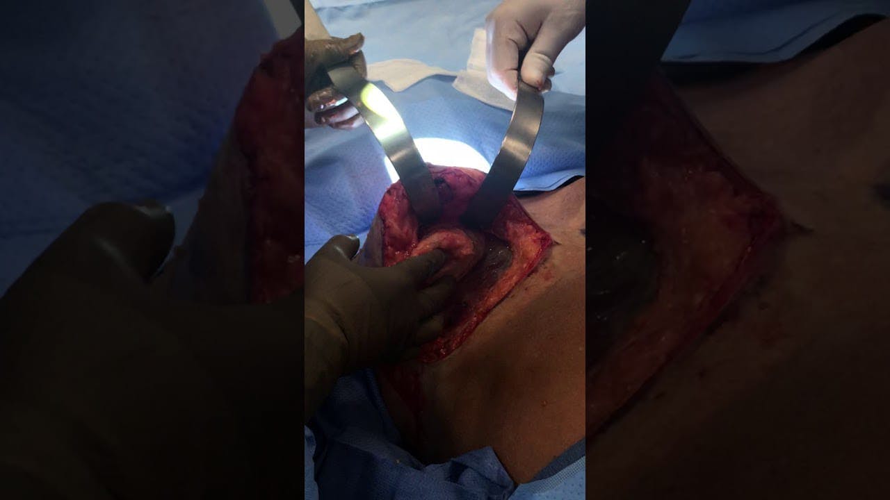 Coastal Plastic Surgeons