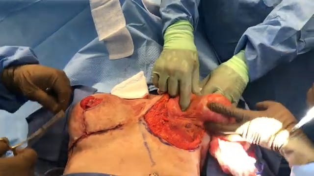 Coastal Plastic Surgeons