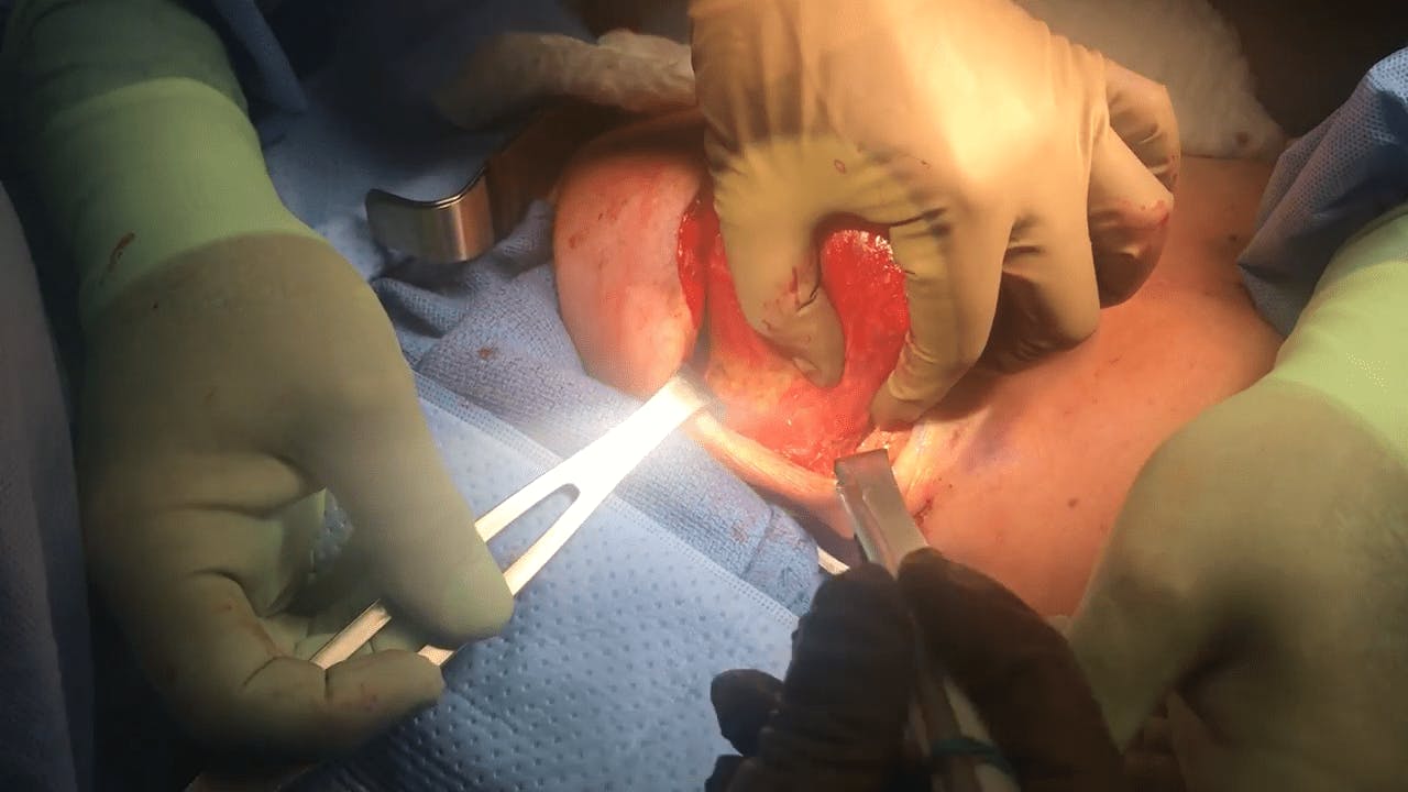 Coastal Plastic Surgeons