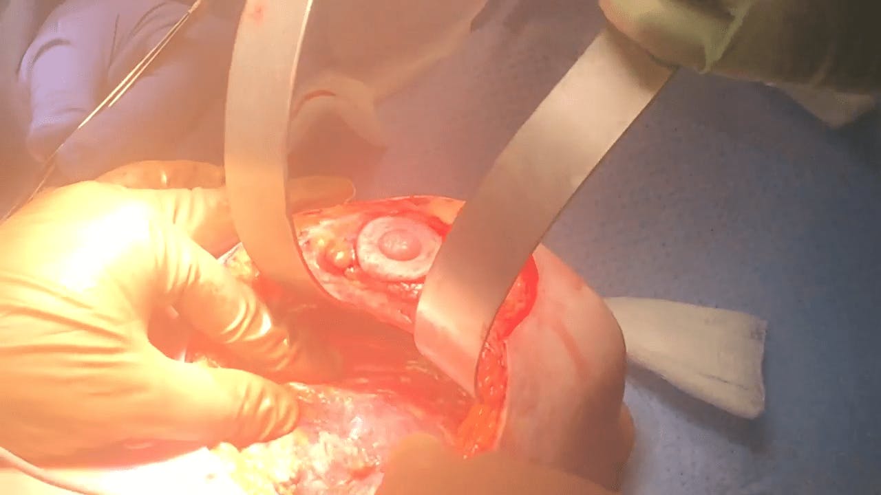 Coastal Plastic Surgeons