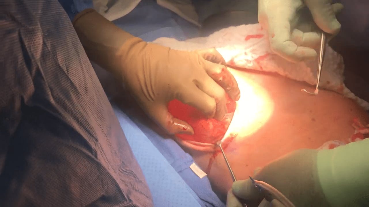 Coastal Plastic Surgeons