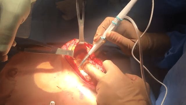 Coastal Plastic Surgeons