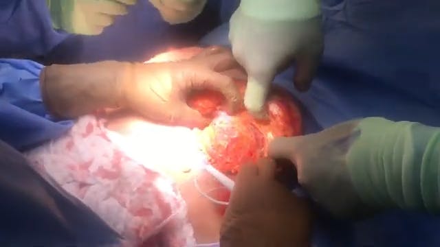 Coastal Plastic Surgeons