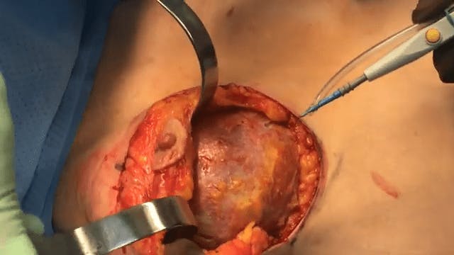 Coastal Plastic Surgeons