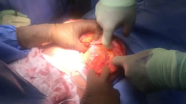 Coastal Plastic Surgeons