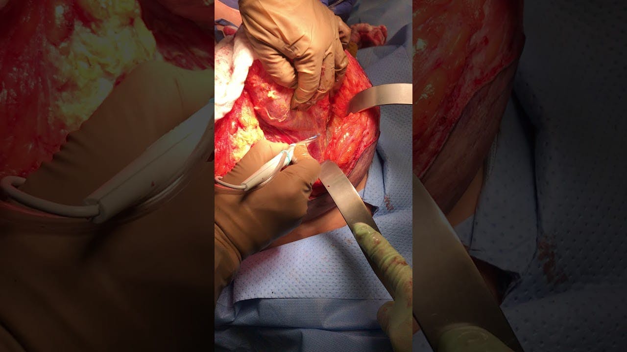 Coastal Plastic Surgeons