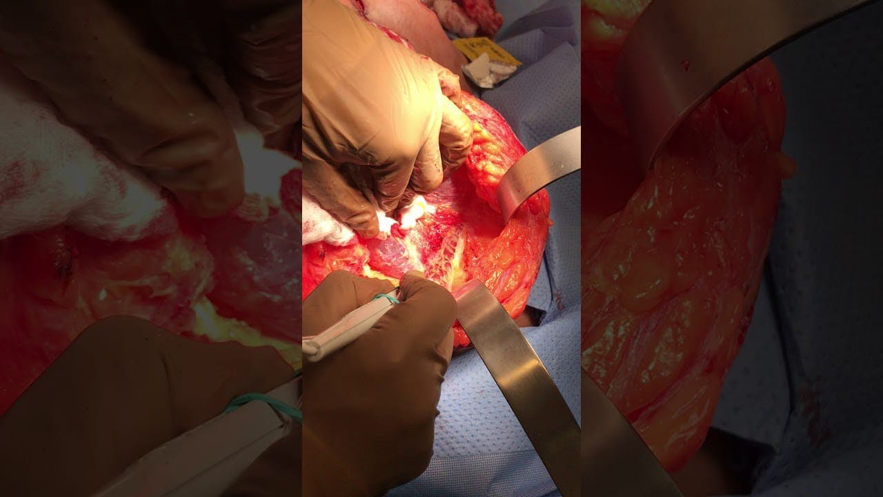 Coastal Plastic Surgeons