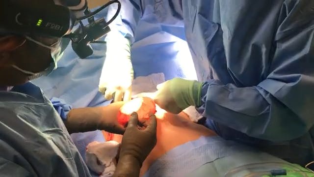 Coastal Plastic Surgeons