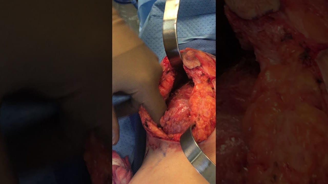 Coastal Plastic Surgeons