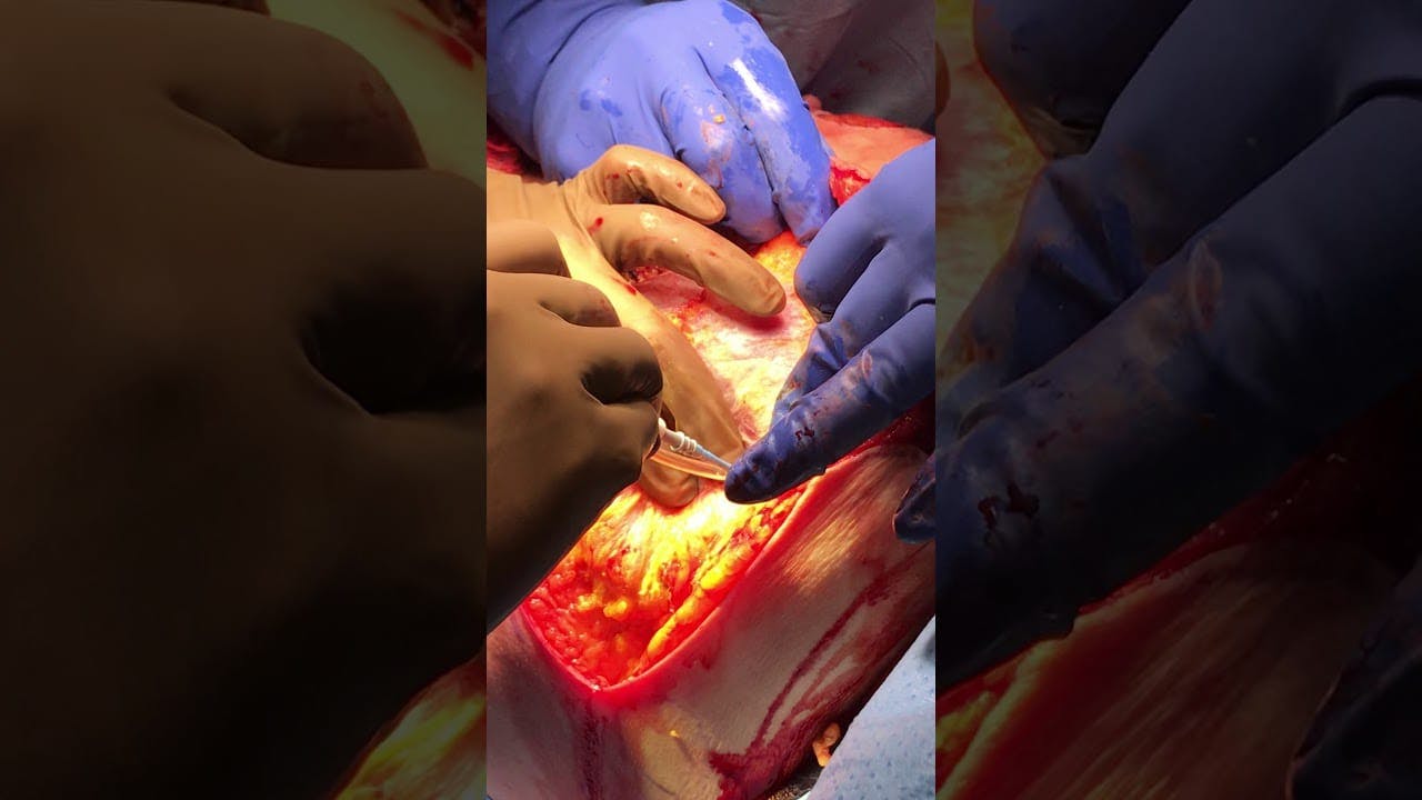 Coastal Plastic Surgeons