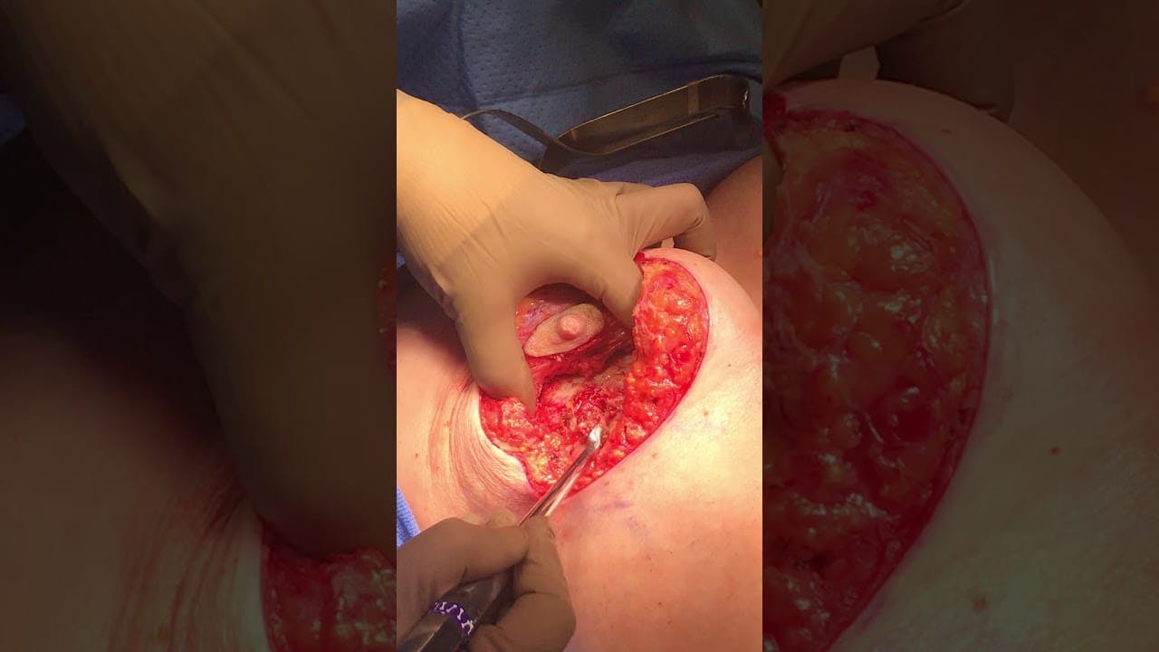 Coastal Plastic Surgeons