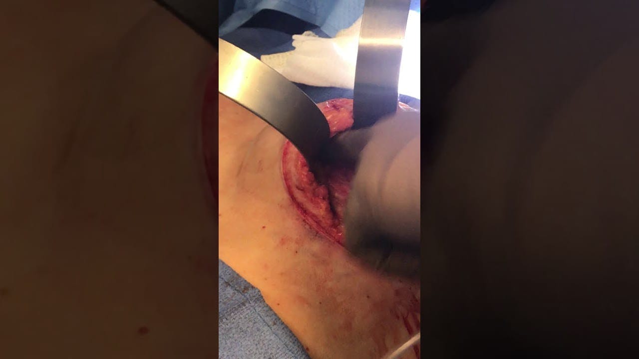 Coastal Plastic Surgeons