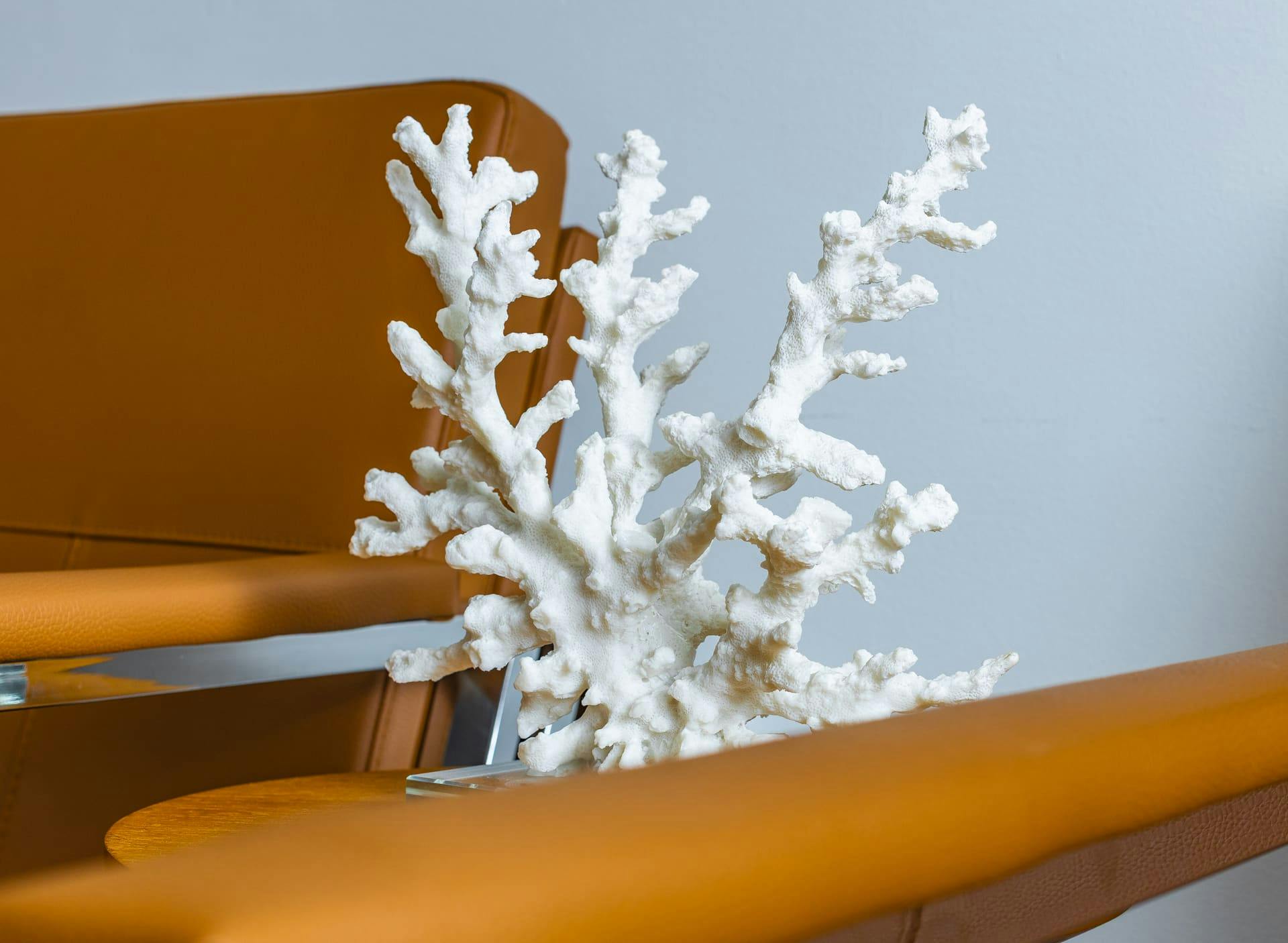 white coral decor on side table