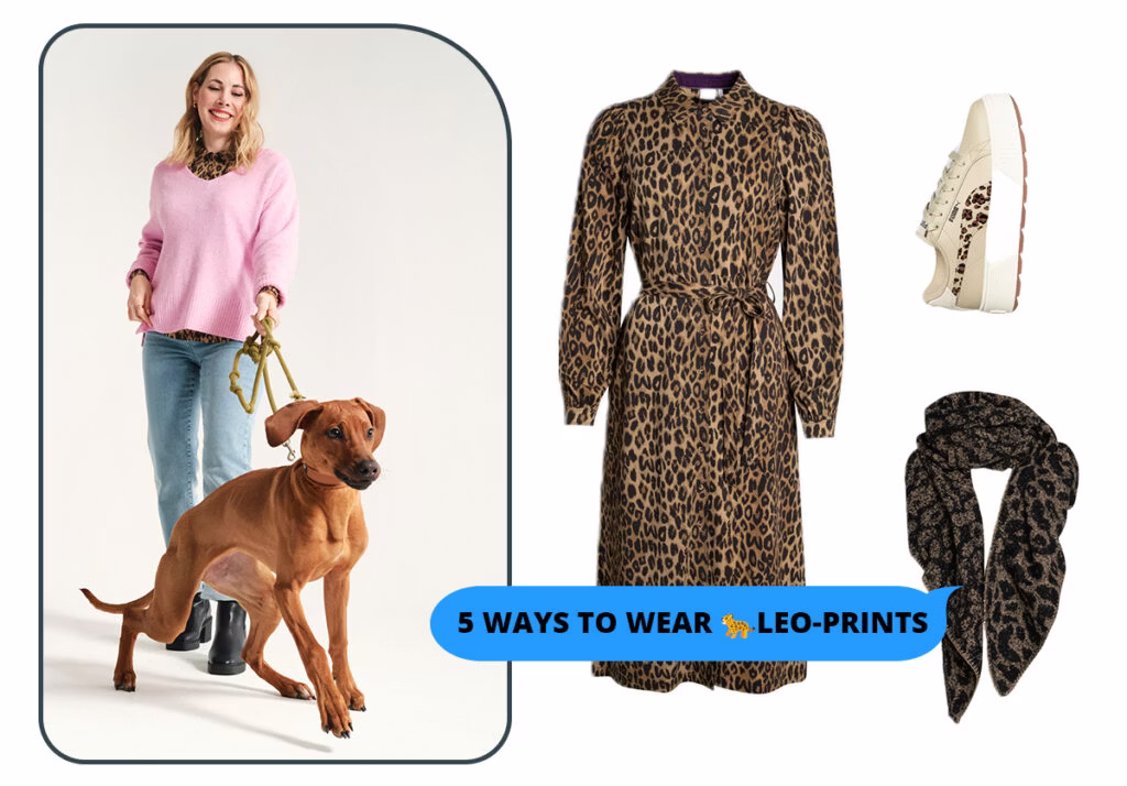 5 Arten, Leo-Print zu tragen