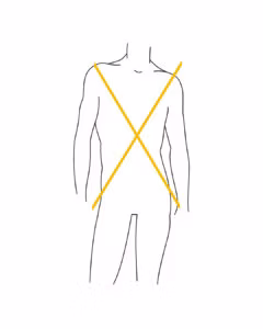 chart, plot, back, body part, person, bow, weapon