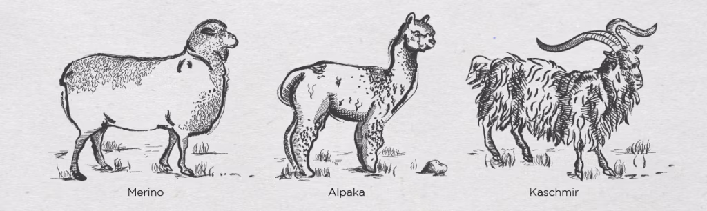 art, animal, bird, antelope, mammal, wildlife, drawing