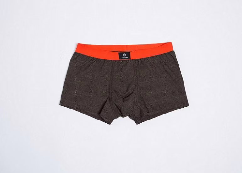 clothing, underwear, shorts