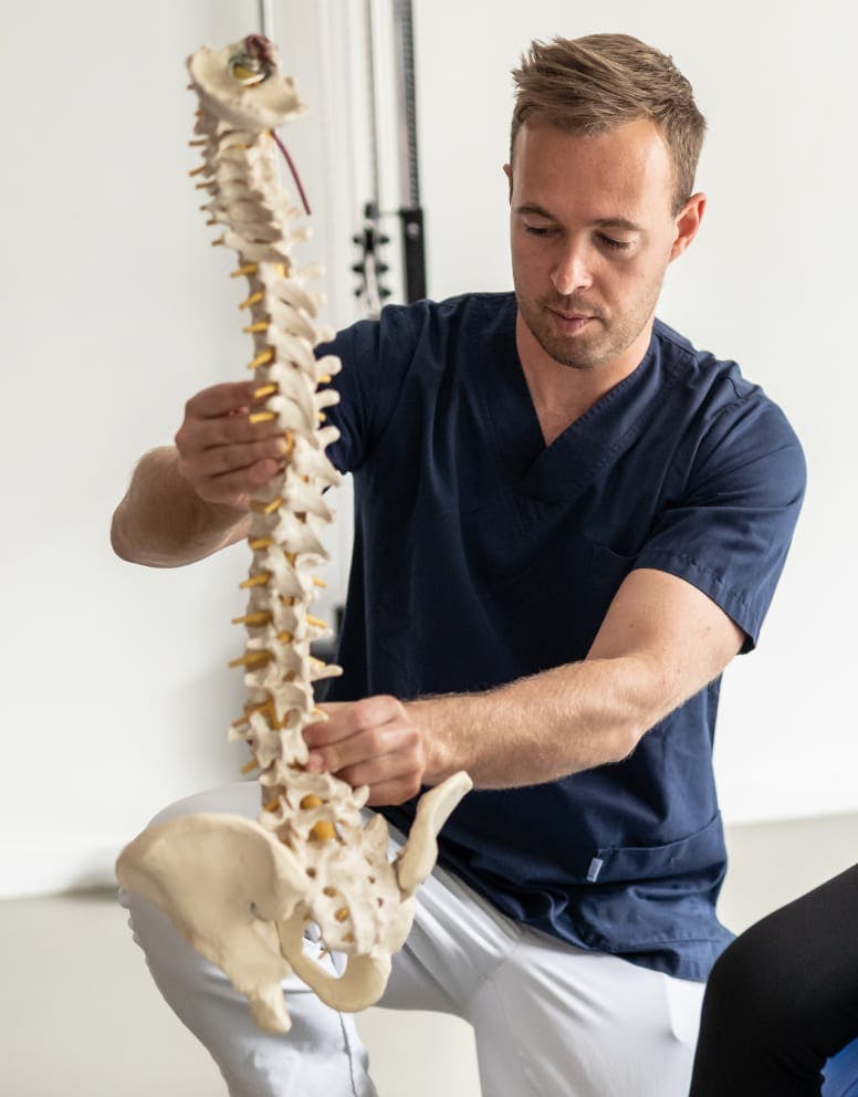 doctor pointing to an artificial spine
