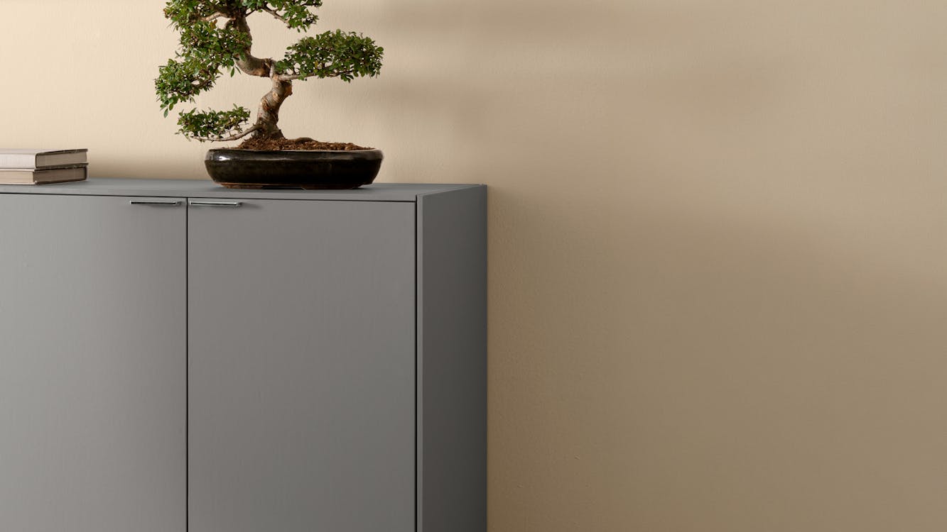 header-bookcase