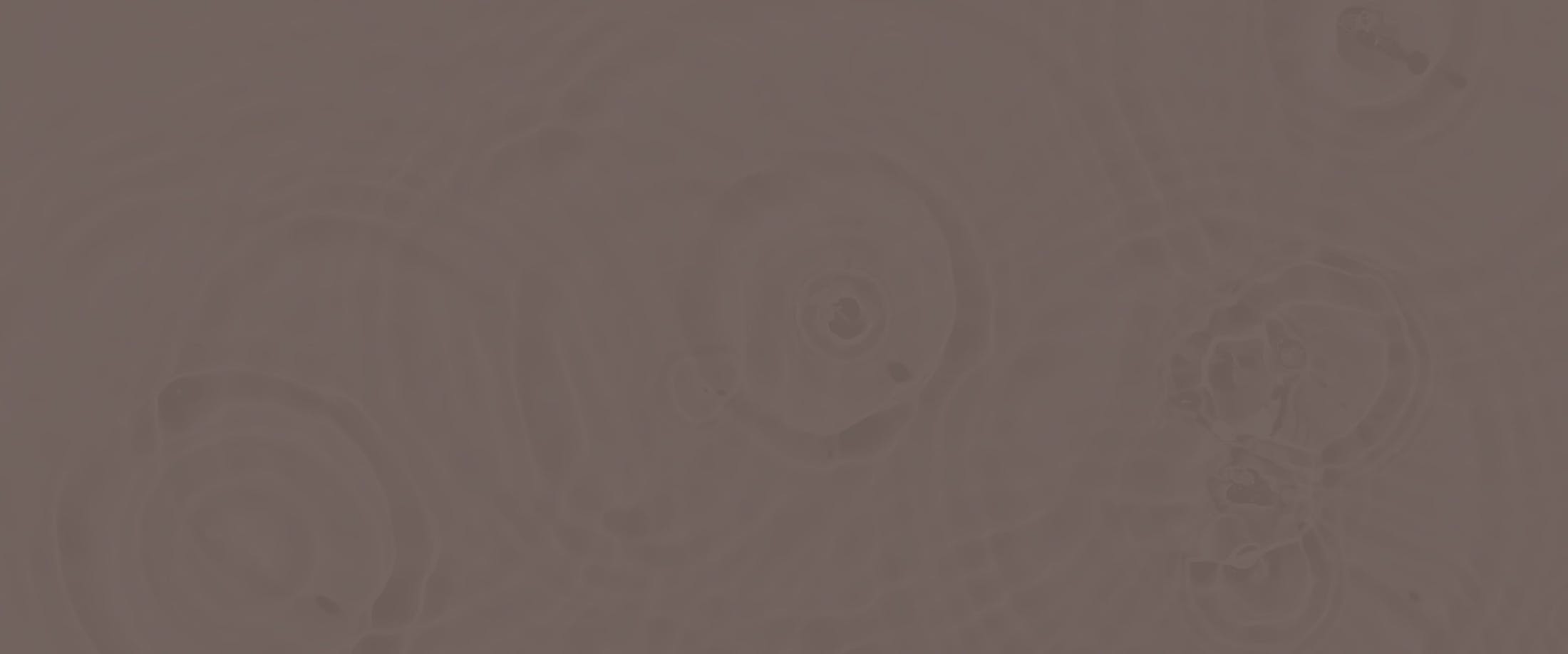 Banner media