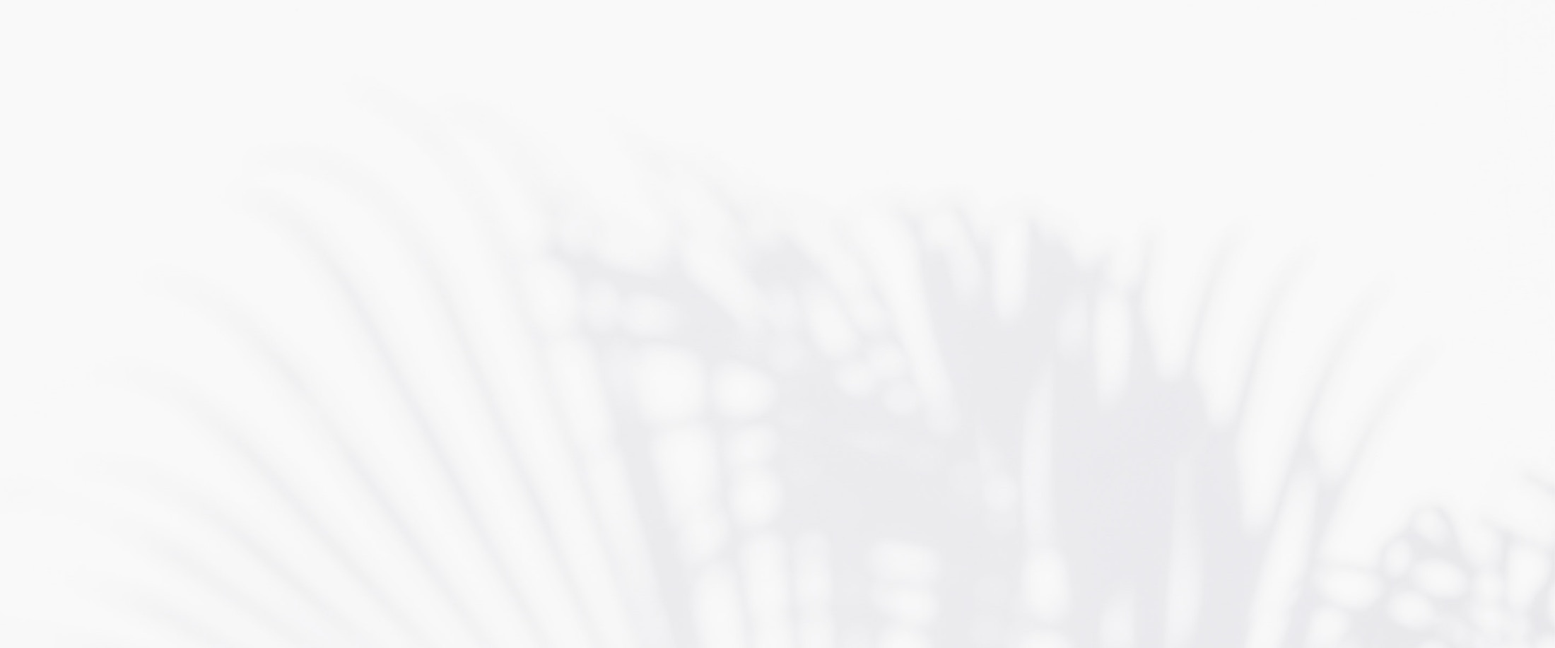 Banner media