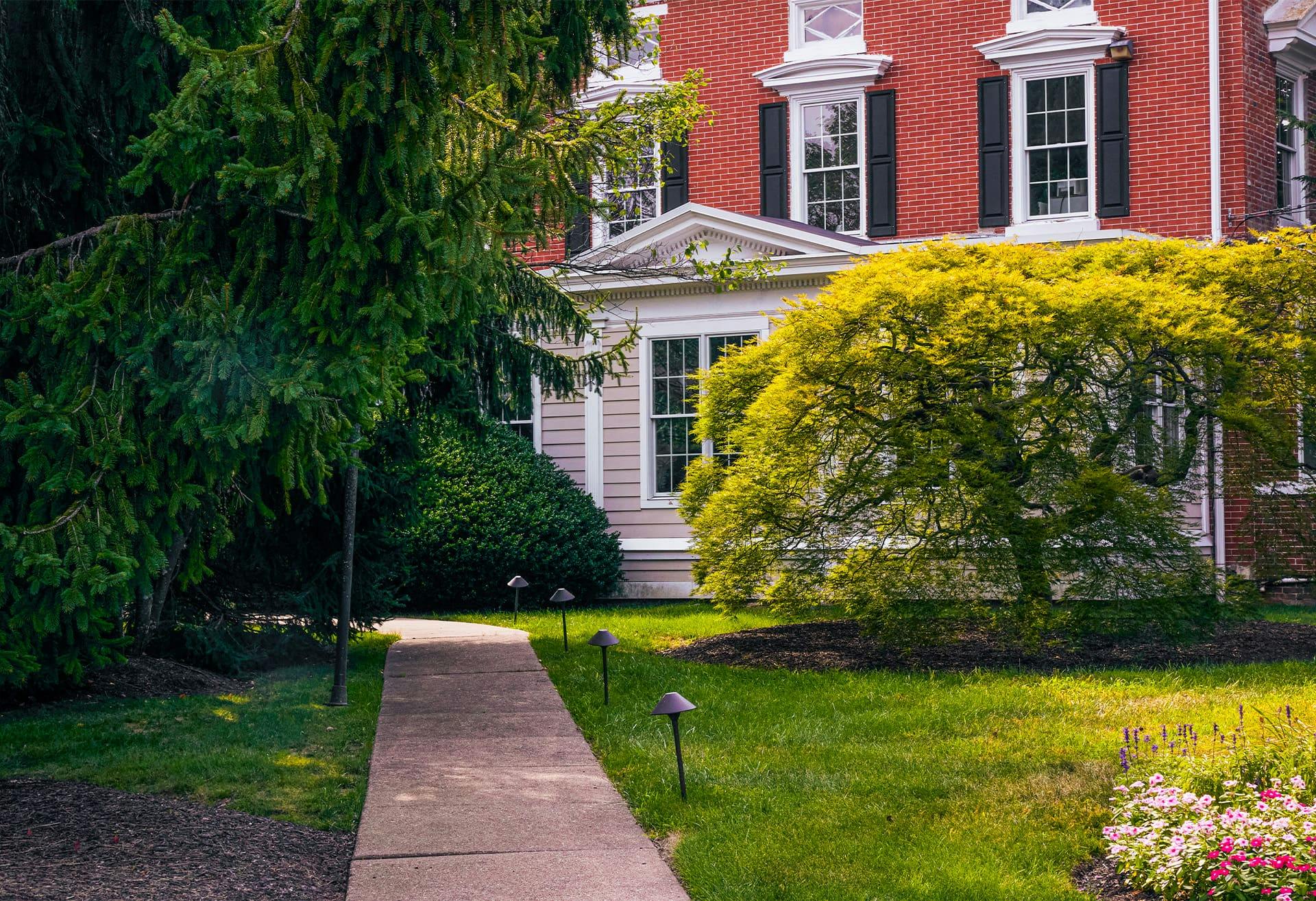 A nice front lawn