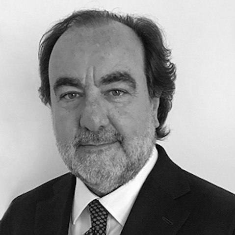 Giulio Andreani Giulio Andreani