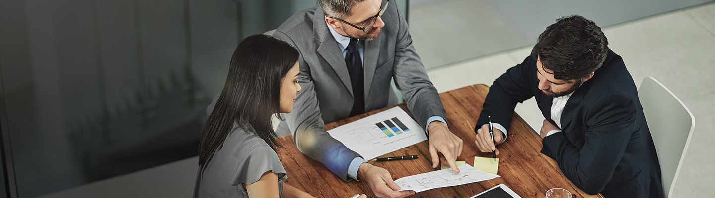 Business Consultant: cosa fa, stipendio, responsabilità e competenze