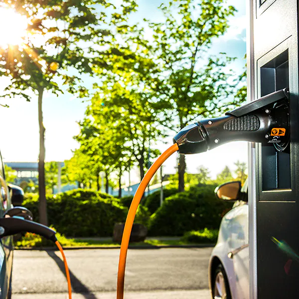 Master Mobilità Sostenibile - La rinnovata centralità del Mobility Manager