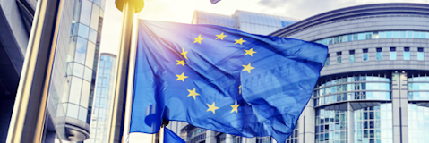 L’attività di Lobbying nelle Istituzioni Europee L’attività di Lobbying nelle Istituzioni Europee